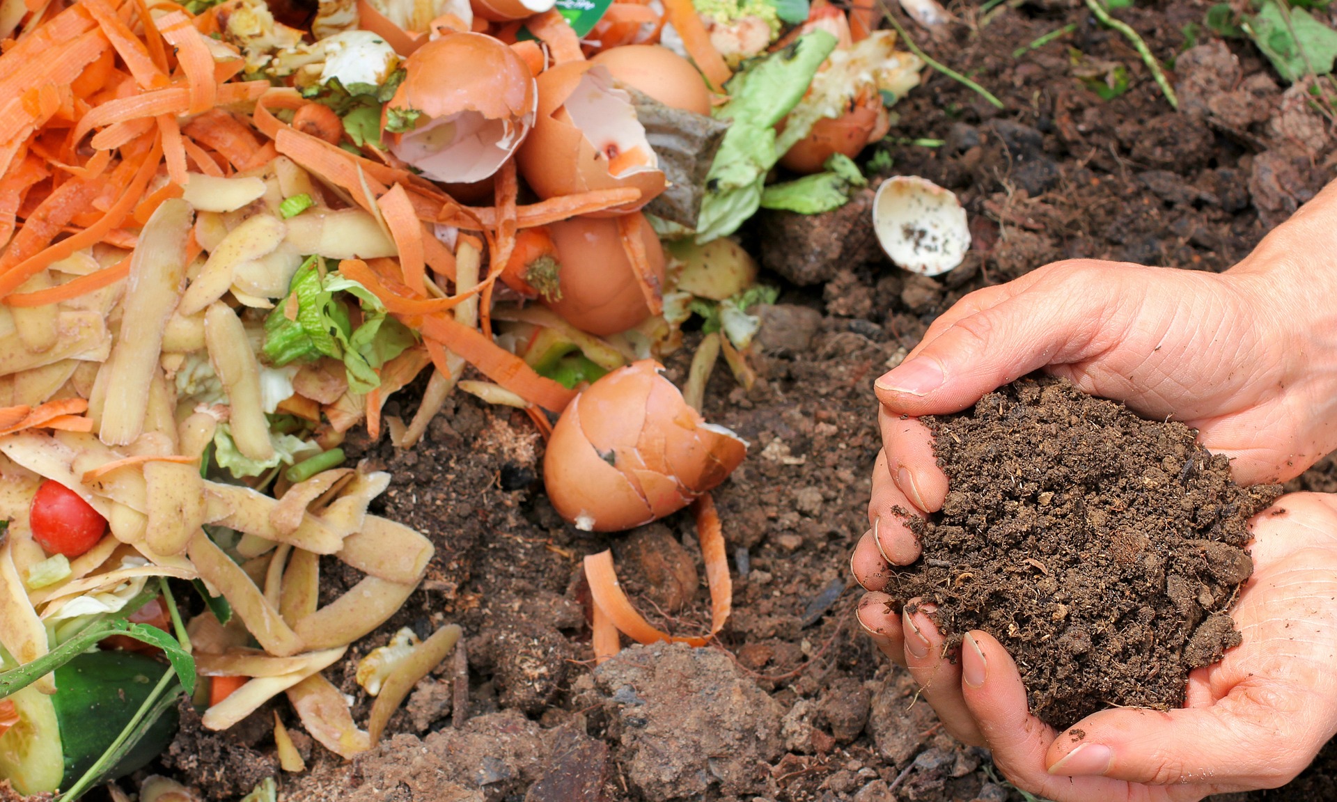 compost-6053136_1920